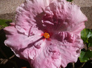 P1070570