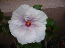 P1070593