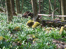 DSCF6071
