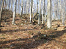 DSCF6101