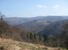 DSCF6127