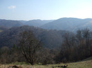 DSCF6128