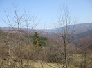 DSCF6136