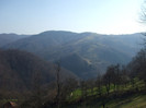 DSCF6138
