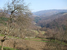 DSCF6140