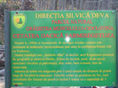 DSCF6147