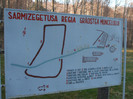 DSCF6166
