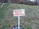 DSCF6185
