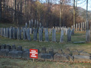 DSCF6205