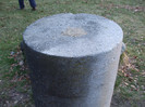 DSCF6206