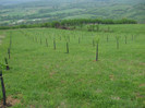 DSCF6286