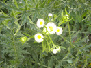 DSCN1182