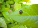 DSCN1289