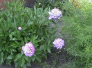 DSC02938