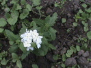 DSC02888