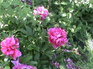 DSC02989