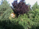 DSC02990