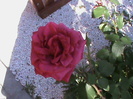 DSC03047