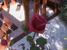 DSC03048
