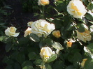 DSC03059