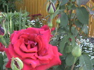 DSC03060