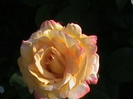 DSC03070