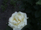 DSC03074
