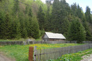 DSC03041