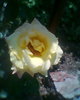 Fotogr.0310