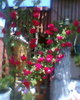 Fotogr.0323