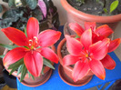 DSCN1282