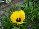 DSCN0008