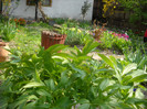 DSCN0009