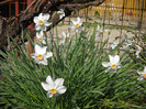 DSCN0011