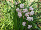 DSCN0013