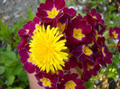 DSCN0019