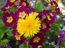 DSCN0020