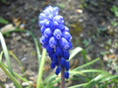 DSCN0025