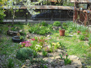 DSCN0028