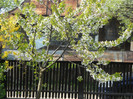 DSCN0030