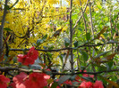 DSCN0031
