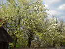 DSCN0033