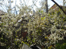 DSCN0035