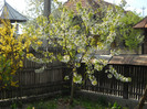 DSCN0036