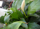 DSCN0083