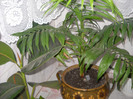 DSCN0086
