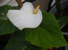 DSCN0090