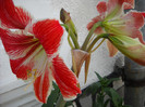 DSCN0096
