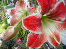 DSCN0098