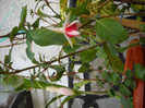 DSCN0115